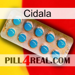 Cidala new09